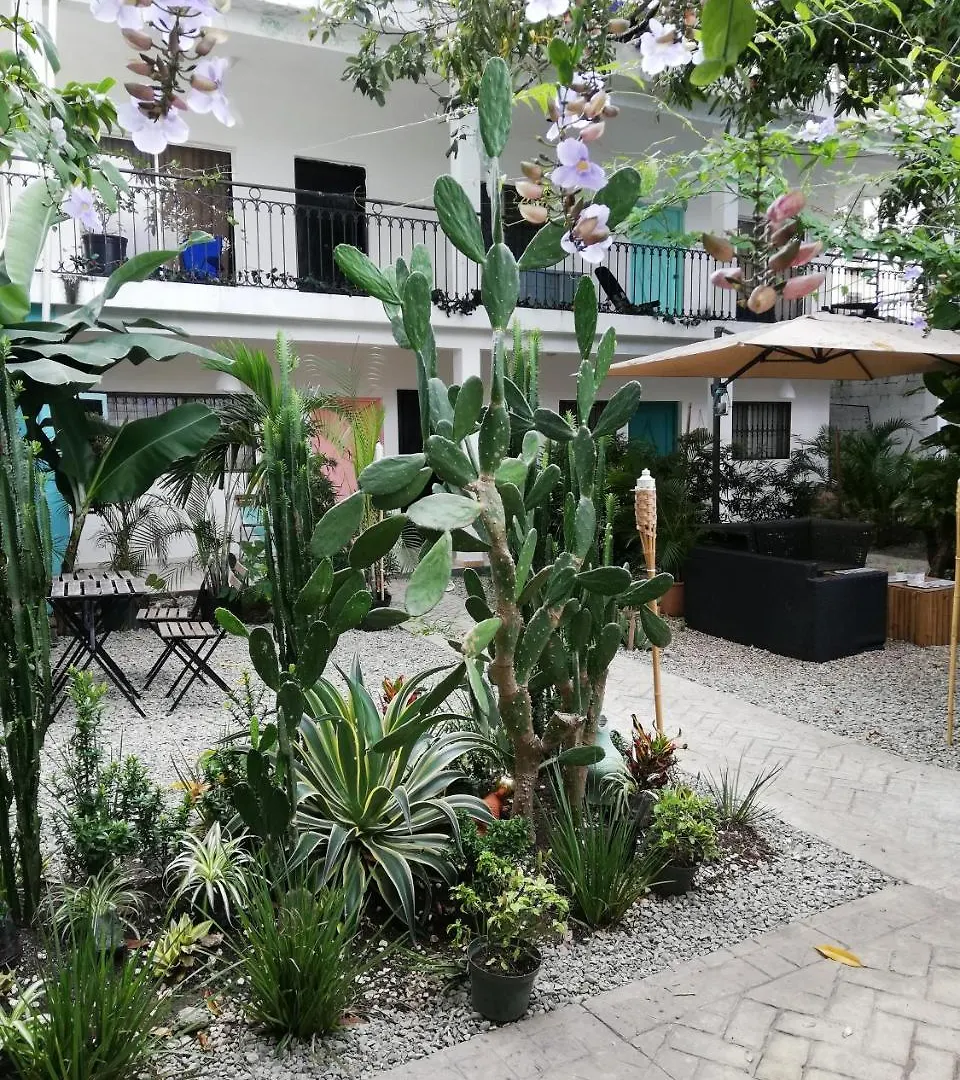 Hostal Casa 14 Santo Domingo